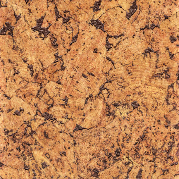 istock Natural Brown Cork Coarse Grain Texture Detail 1062594014