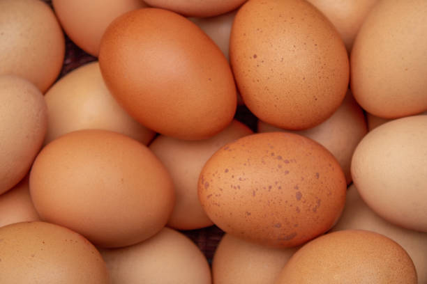 istock A Collection of Hen's Eggs in a Basket 1062598450