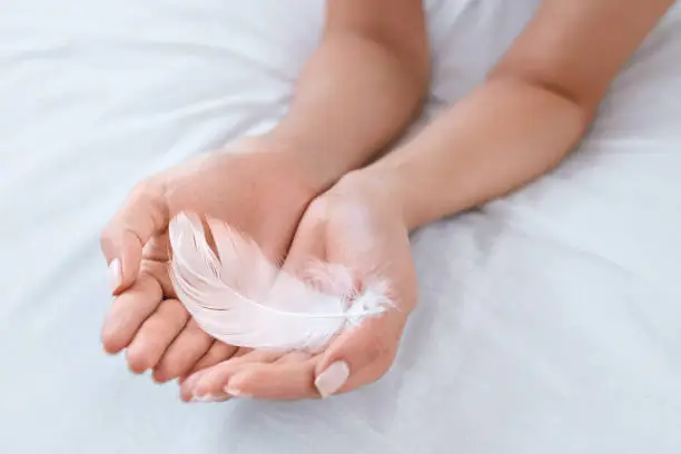 Photo of Hand Skin Care. Woman Hands With Soft White Feather. Body Care