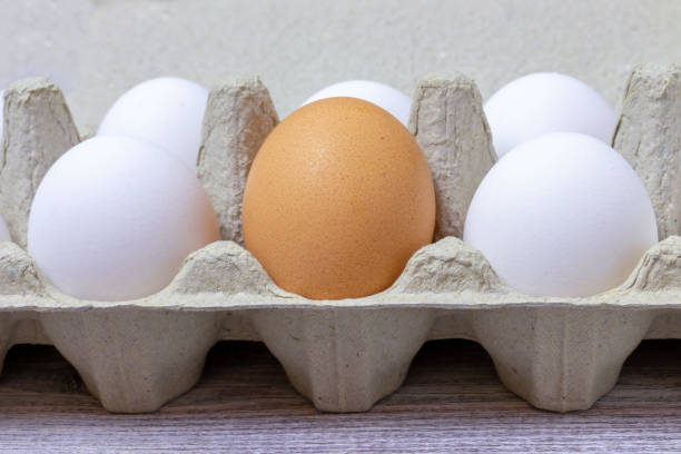 istock Several white and one brown egg in paper recyclable container close up 1062601752