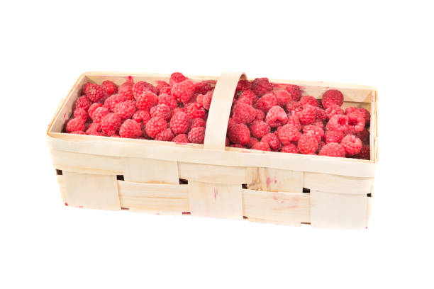 Wicker basket full of raspberries isolated on white background