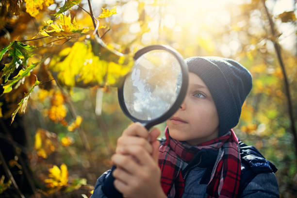 istock Little boy observing autumn leaves 1062612046