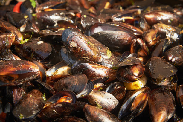 istock Boiled mussels with herbs and sweet pepper 1062613050
