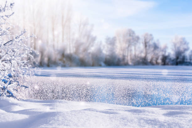 istock winter day at the frozen lake 1062630222