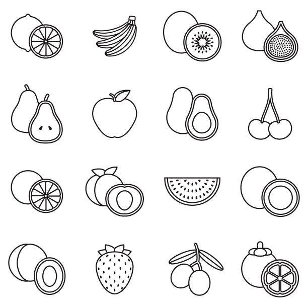 ilustraciones, imágenes clip art, dibujos animados e iconos de stock de fruta delgada línea contorno conjunto de iconos - plum grape fruit clip art