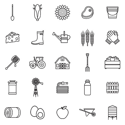 A group of 25 black and white thin line icons. File is built in the CMYK color space for optimal printing, with 100% black and white swatches. Icons are grouped and easy to isolate.