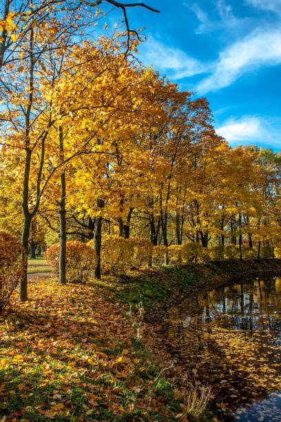 istock Beautiful autumn colors in the park 1062670434