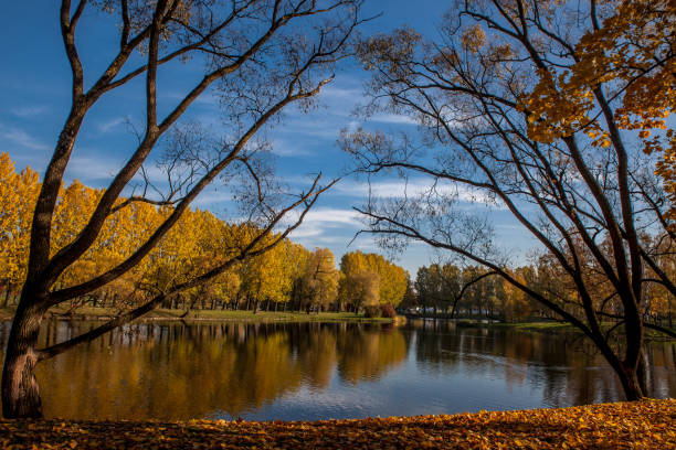 istock Beautiful autumn colors in the park 1062670484