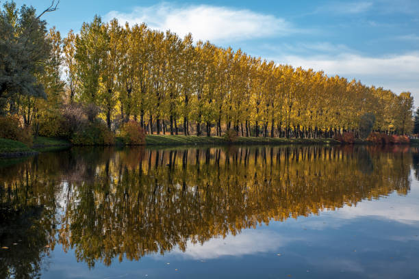 istock Beautiful autumn colors in the park 1062670490