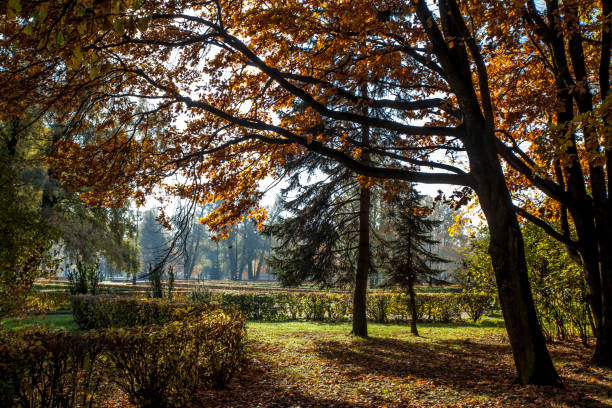 istock Beautiful autumn colors in the park 1062670498