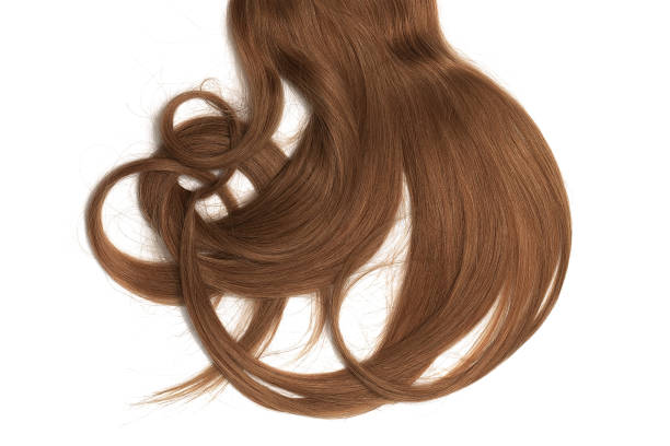 istock Brown hair, isolated on white background. Long and disheveled ponytail 1062670572