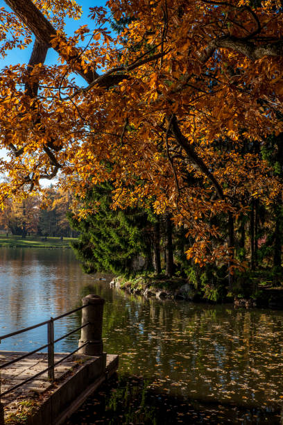 istock Beautiful autumn colors in the park 1062670690
