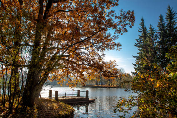 istock Beautiful autumn colors in the park 1062670714