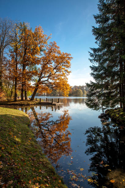 istock Beautiful autumn colors in the park 1062671798