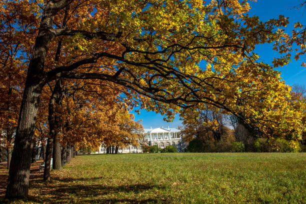 istock Beautiful autumn colors in the park 1062672668