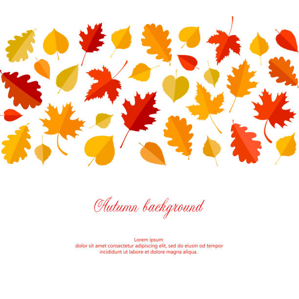 Autumn background with leaves. Poster, card, label, banner design. Vector illustration vector art illustration