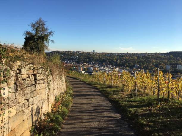 istock Path in the Esslingen vineyards (landscape format) 1062674178