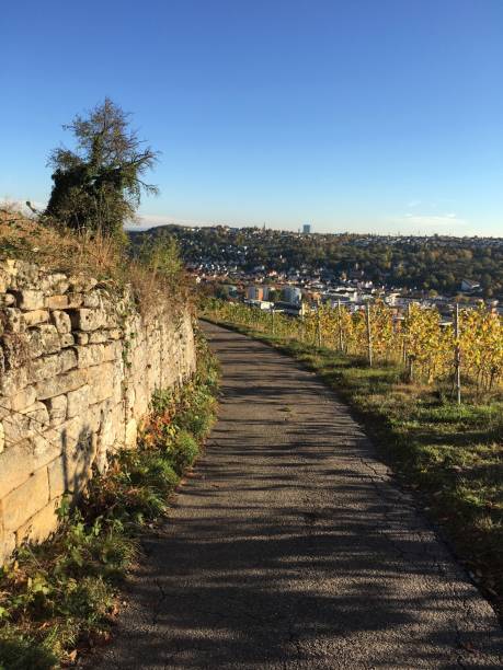 istock Path in the Esslingen vineyards 1062674204