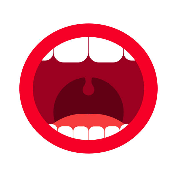 Cartoon Open Mouth With Teeth Vector Illustration Stock Illustration -  Download Image Now - Mouth, Shouting, Screaming - iStock