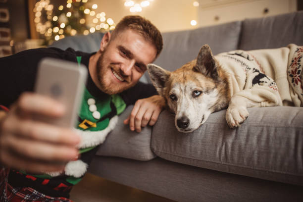 Christmas selfie Man using mobile phone in living room, it is Christmas everything decorated, pet dog with him christmas sweater photos stock pictures, royalty-free photos & images