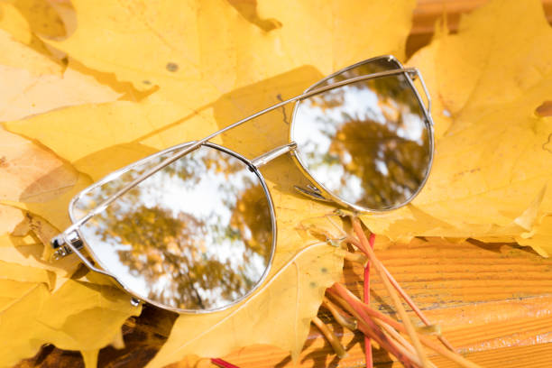 istock sunglasses lie on yellow autumn maple leaves 1062675134