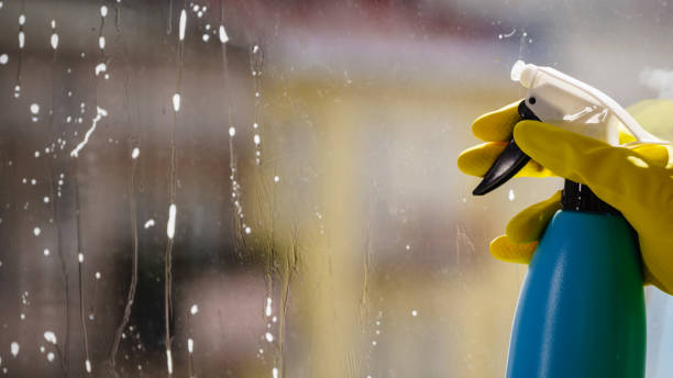 istock Person spraying window cleaning detergent 1062680394