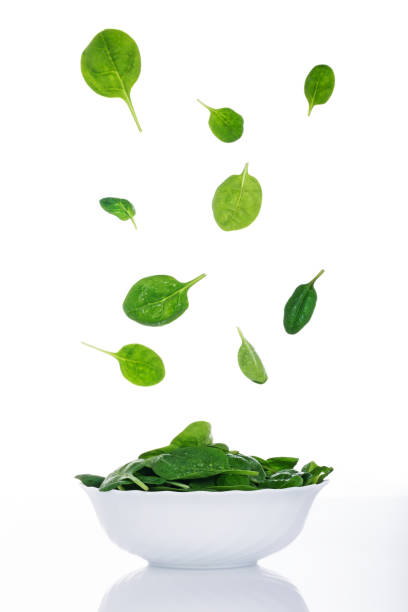 essen in bewegung, blattspinat fliegen - chlorophyll green smoothie smoothie vegetable stock-fotos und bilder