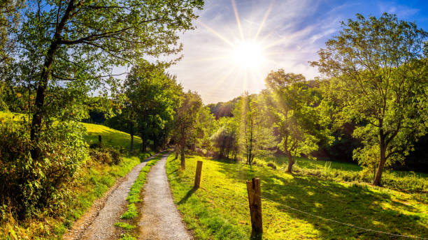istock Road through a beautiful summer landscape 1062719786