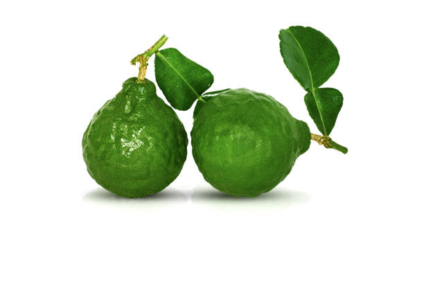 istock bergamot fruit, Kaffir Lime isolated on white 1062728806