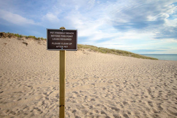 istock Pet Friendly Beach In Ludington State Park 1062749744