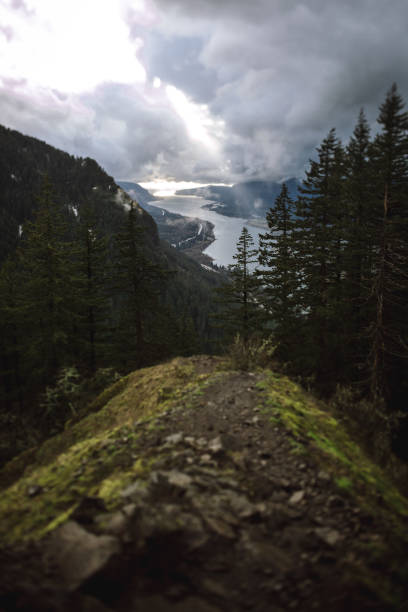 istock Overlook The Columbia River Gorge Oregon 1062751004