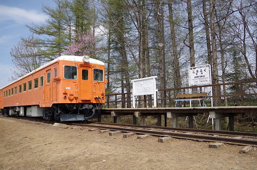 Ruislip, London, UK - Diesel locomotive No.8 Bayhurst at Ruislip Lido narrow gauge railway travelling into Willow Lawn station