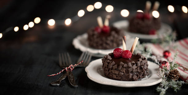 Christmas Holiday Dessert Chocolate Cake