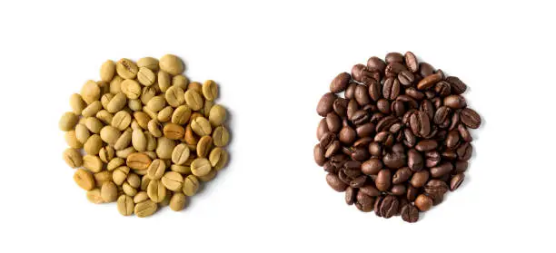 Green arabica coffee bean seeds and roasted seeds on white background.