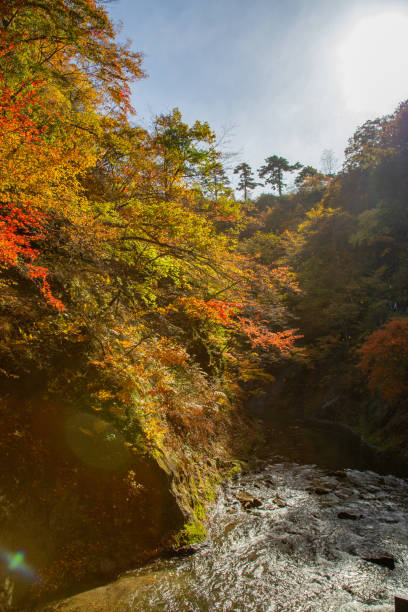 istock River in Narukokyou Gore 1062787108
