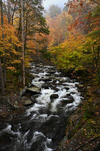 istock Cascade in Little Pigeon River in the Autumn 1062791824