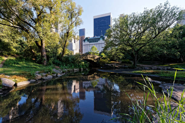 Central Park in NYC Central Park in late summer.
The landmark The pond with high buildings. new york marathon photos stock pictures, royalty-free photos & images