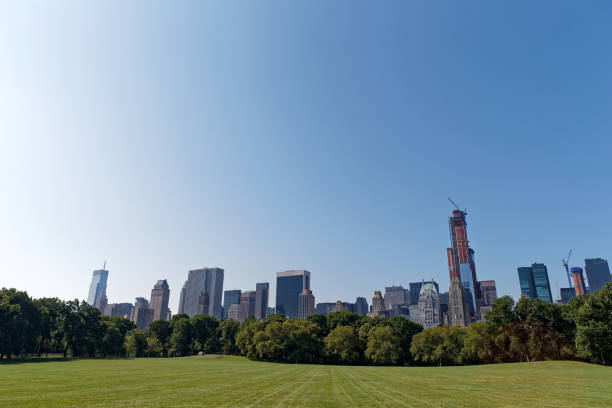 Central Park in NYC Central Park in late summer.
Sheep meadow new york marathon photos stock pictures, royalty-free photos & images
