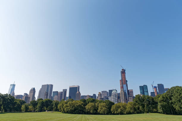 Central Park in NYC Central Park in late summer.
Sheep meadow new york marathon photos stock pictures, royalty-free photos & images