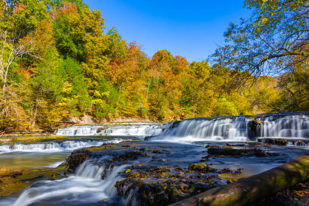 istock Fall foliage in Burgess State Park, Tennessee 1062795212