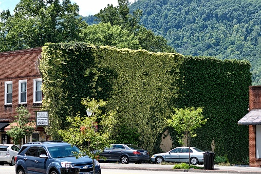 Big Stone Gap, Virginia - July 23, 2018: Ivy covers the entire wall of a business in downtown Big Stone Gap in rural Southwest Virginia.