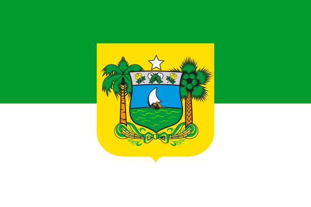 простой флаг государства бразилия - rio grande stock illustrations