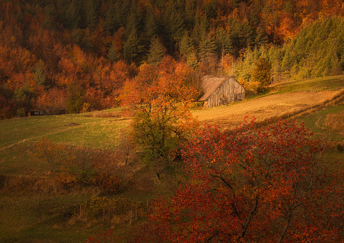 A small wooden cottage in the autumn mountain