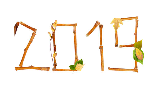 2019 made from the dry branches stock photo