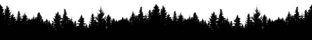 nahtlose silhouette von nadelwald, vektor. panorama immergrüner weihnachtsbaum, fichte, tanne. isolierte vektor auf weißem hintergrund - woods tree panoramic snow stock-grafiken, -clipart, -cartoons und -symbole