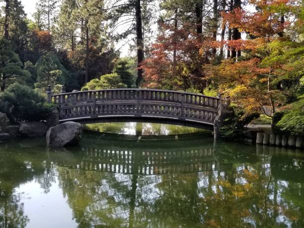 istock Wooden bridge over pond 1062830786