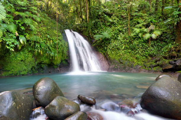 chute d’eau en guadeloupe, antilles français - mount tom photos et images de collection