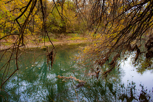 Beautiful autumn colors reflected in the Zlatna Panega River