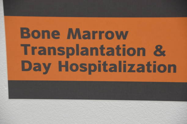 istock Signs in a hospital 1062838686