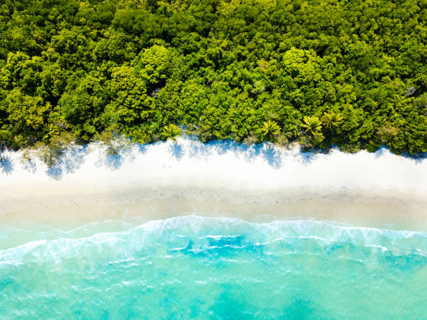 An aerial view of Cape Tribulation in North Queensland, Australia Myall Beach at Cape Tribulation one of North Queensland's popular tourist locations in Australia queensland stock pictures, royalty-free photos & images